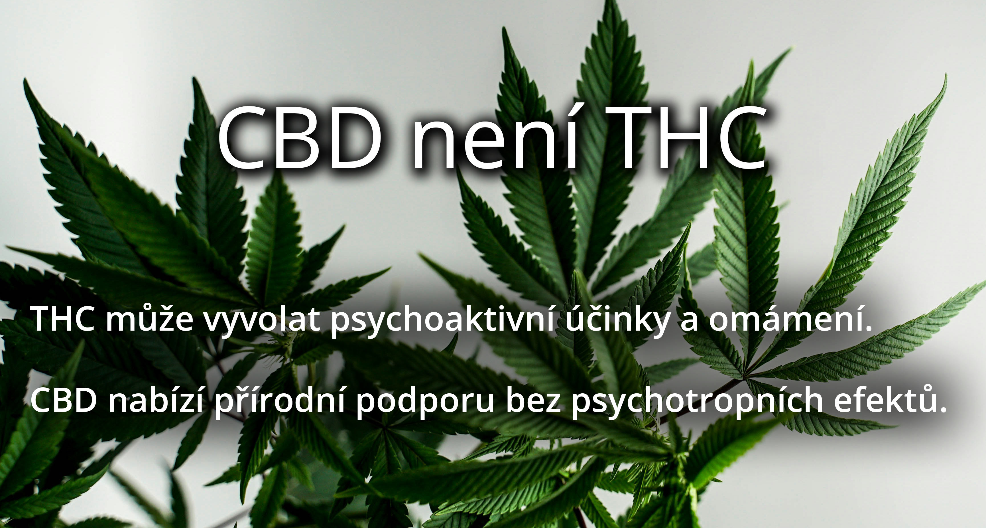 CBD NENÍ THC
